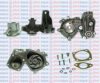 AQUAPLUS 85-6405 Water Pump